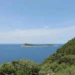 Dino