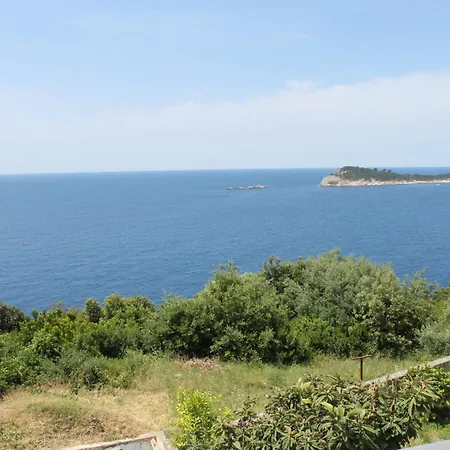 Dino * Cavtat
