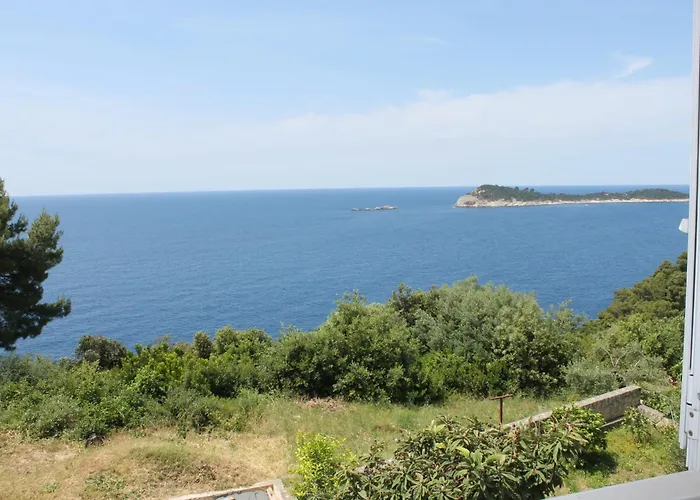 Dino * Cavtat
