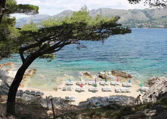 Dino Apartment Cavtat