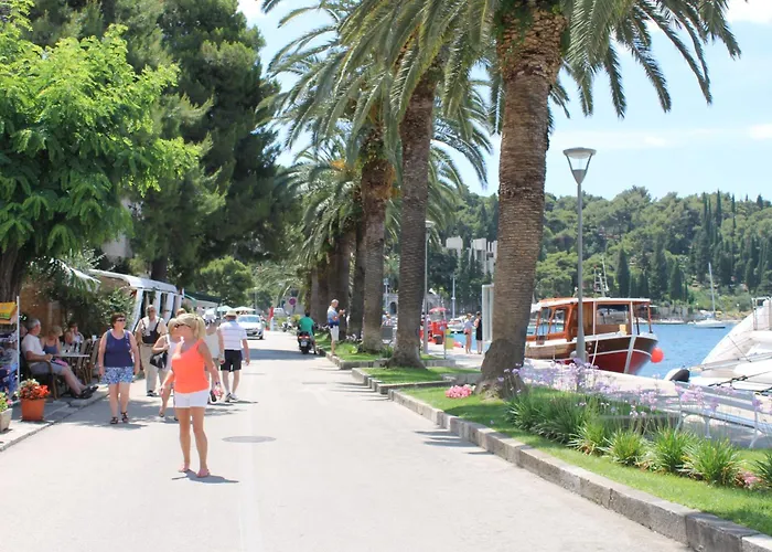 Dino Cavtat