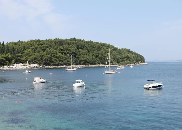 Dino Cavtat